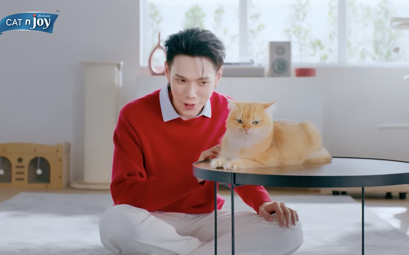 CAT N JOY 3 พลัง